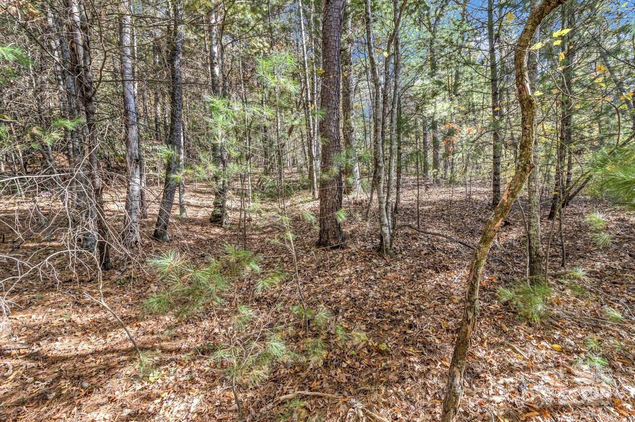 99999 Sharon Road - Photo 1