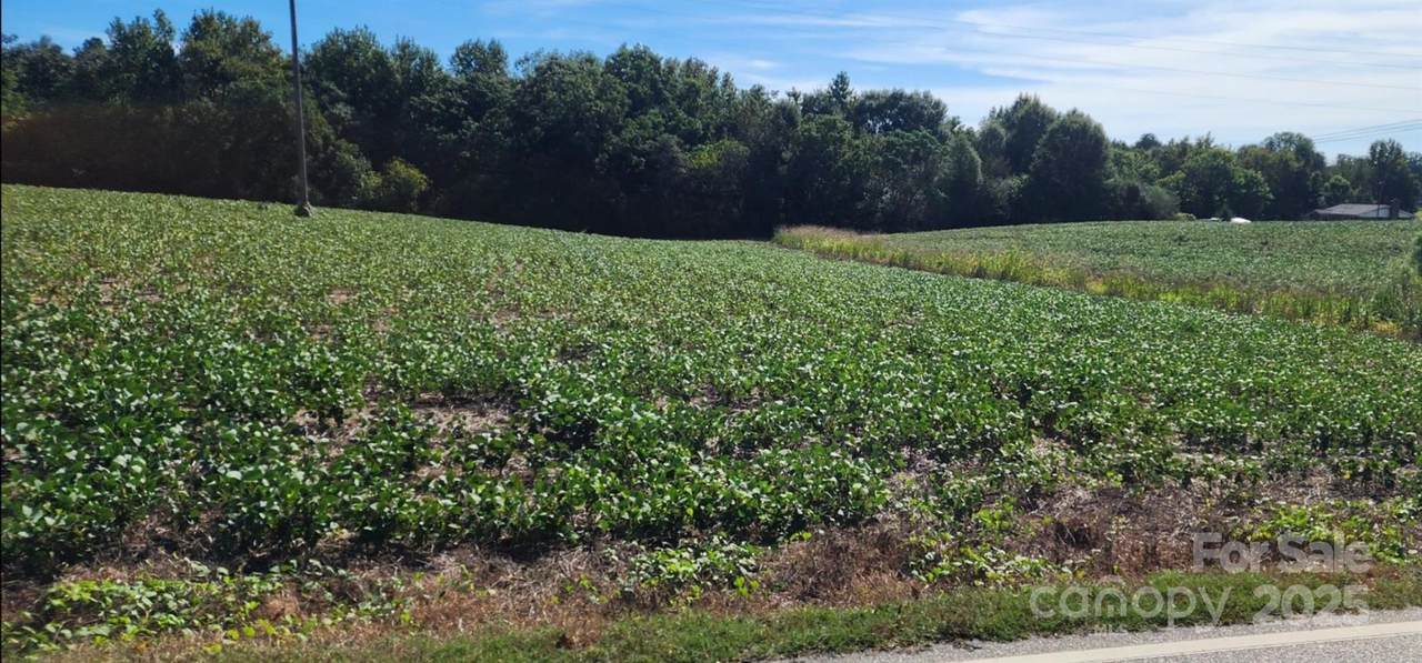 0 Old Pageland Marshville Road - Photo 1