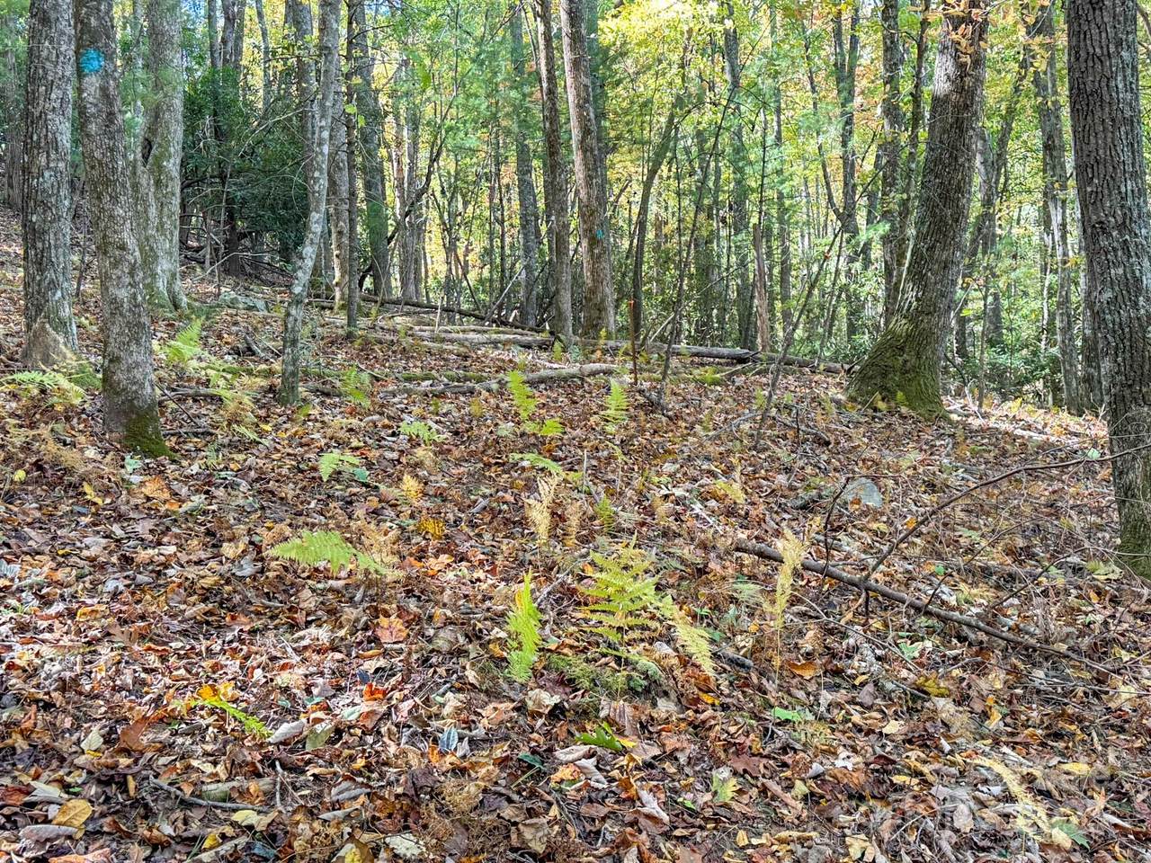 345 Christa Lane - Photo 1