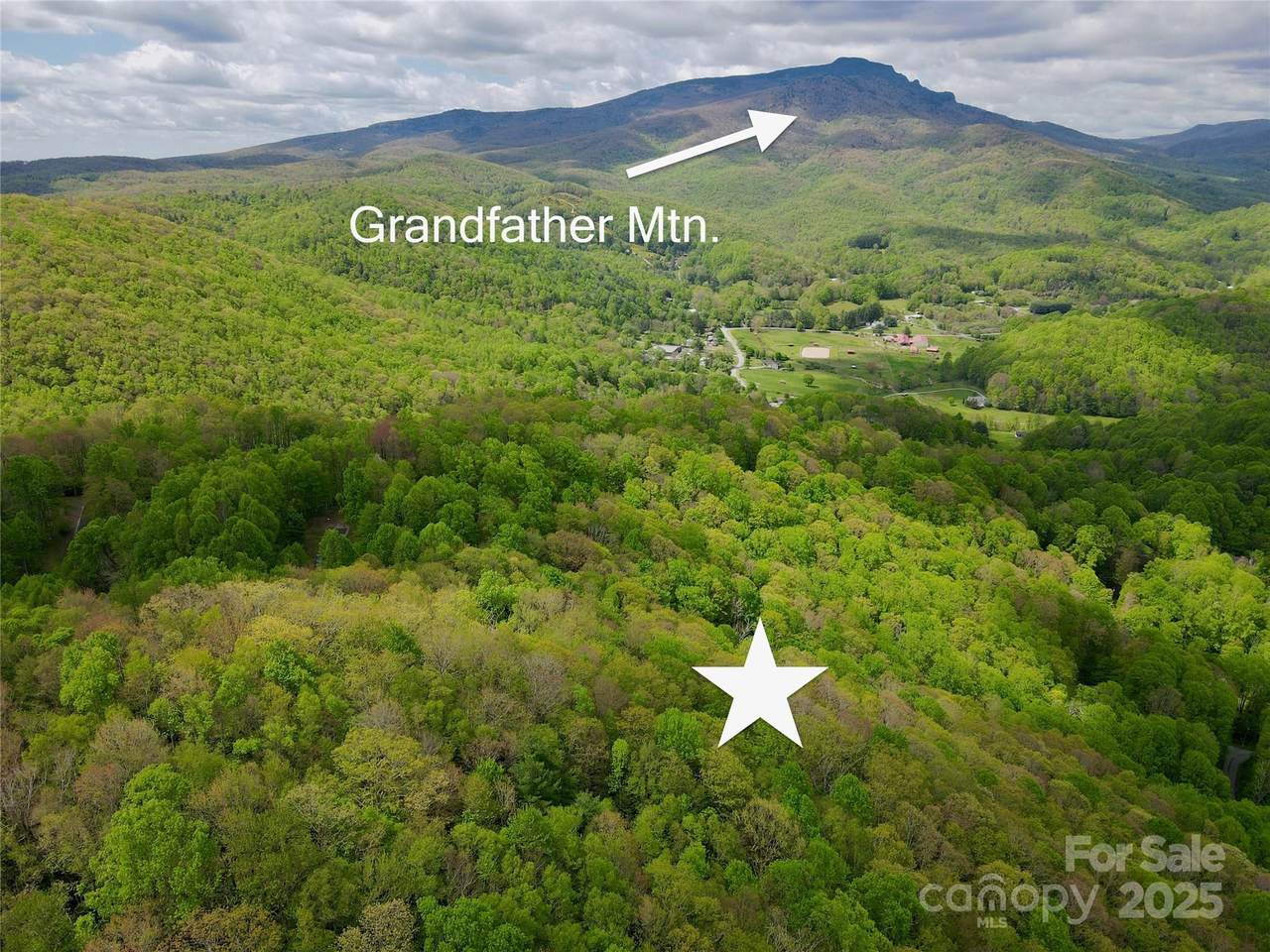 TBD Jackson Ridge Road - Photo 1