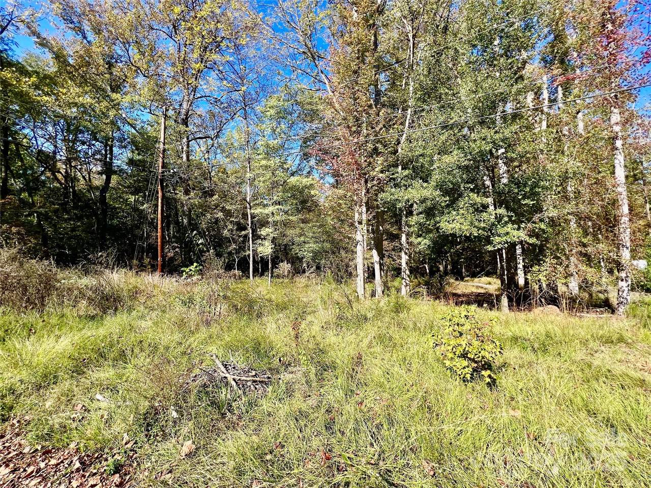 000 Riveroaks Lane - Photo 1