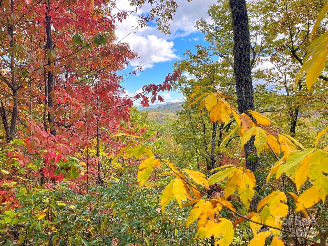 57 Grouse Ridge Drive - Photo 1