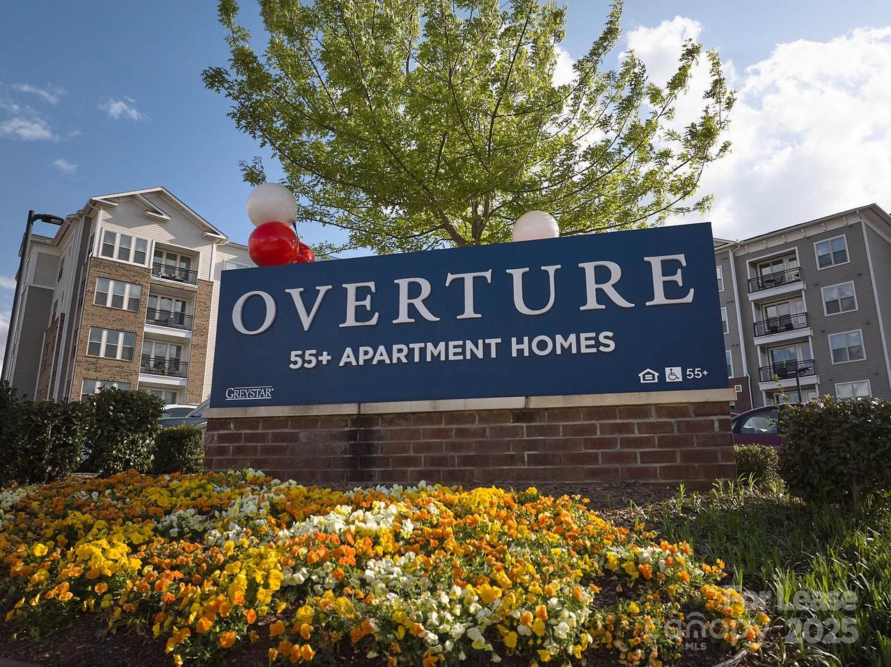 6805 Walnut Branch Lane - Photo 1