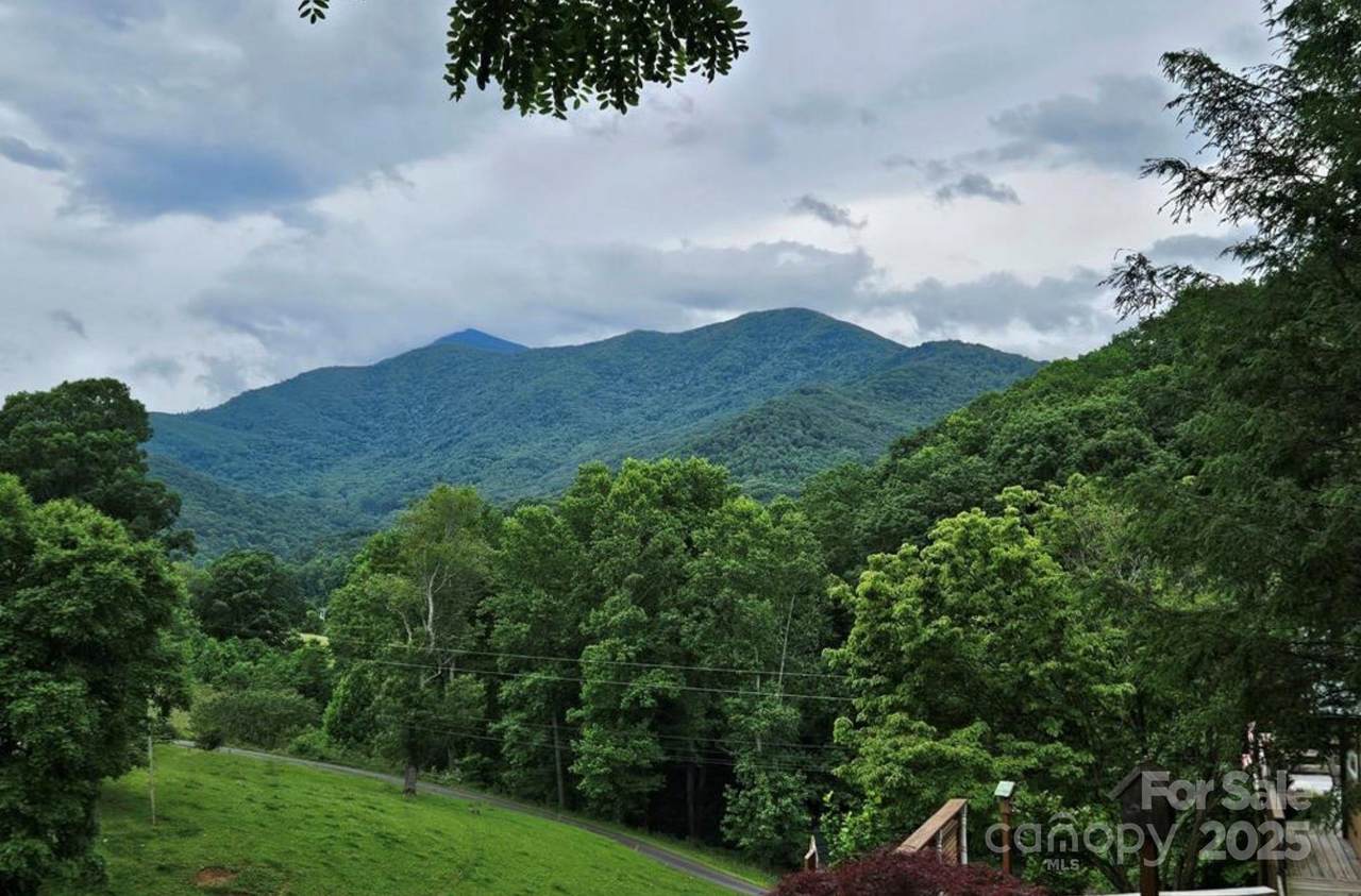 Lot 3 Mountain View Road - Photo 1