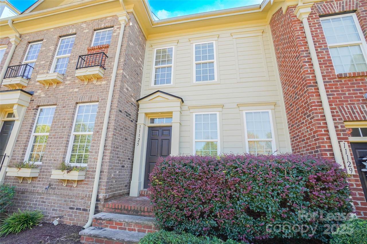 11125 Cedar Walk Lane - Photo 1