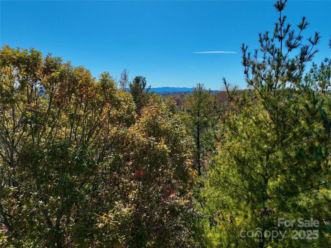 2800 Snipes Street - Photo 1