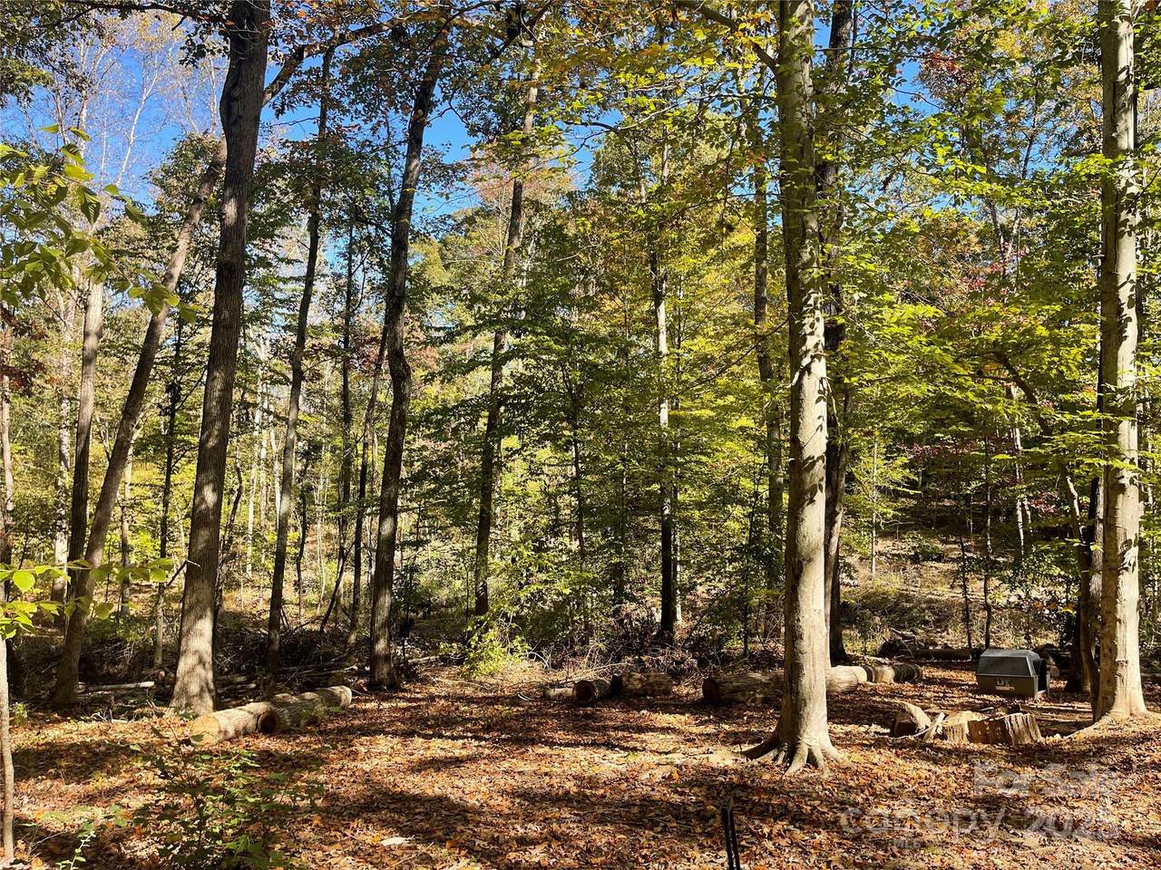 00 Heather Lane - Photo 1