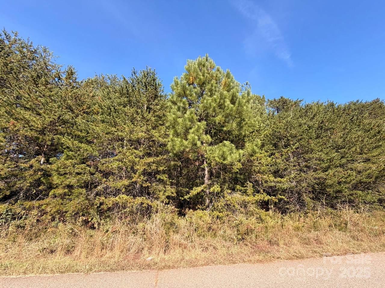 1953 Milton Street - Photo 1