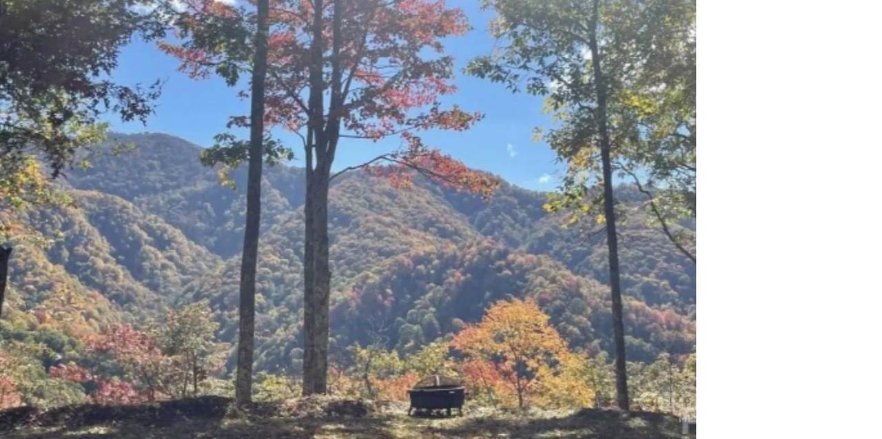 241 Bloom Trail - Photo 1