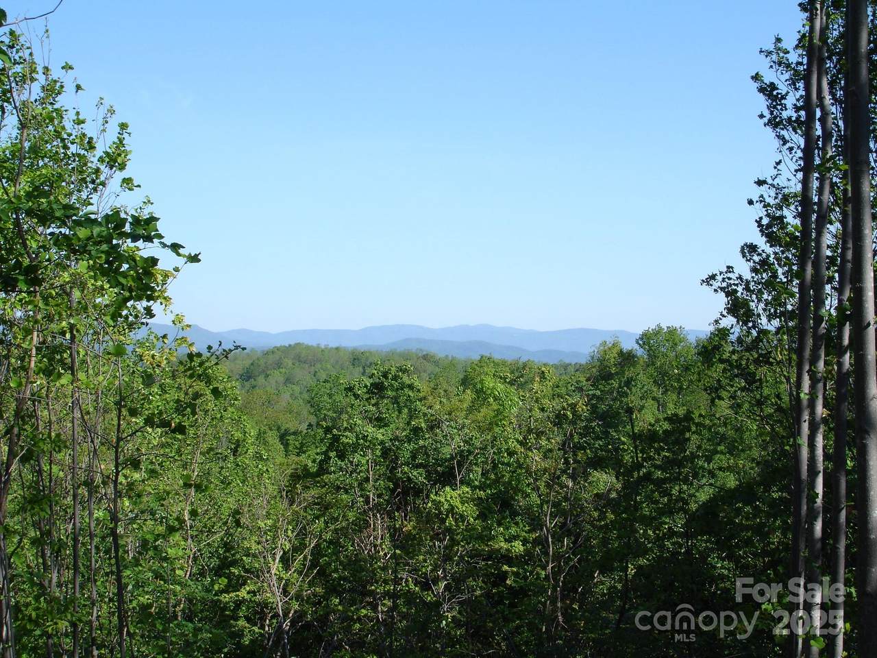 TBD Black Lark Drive - Photo 1