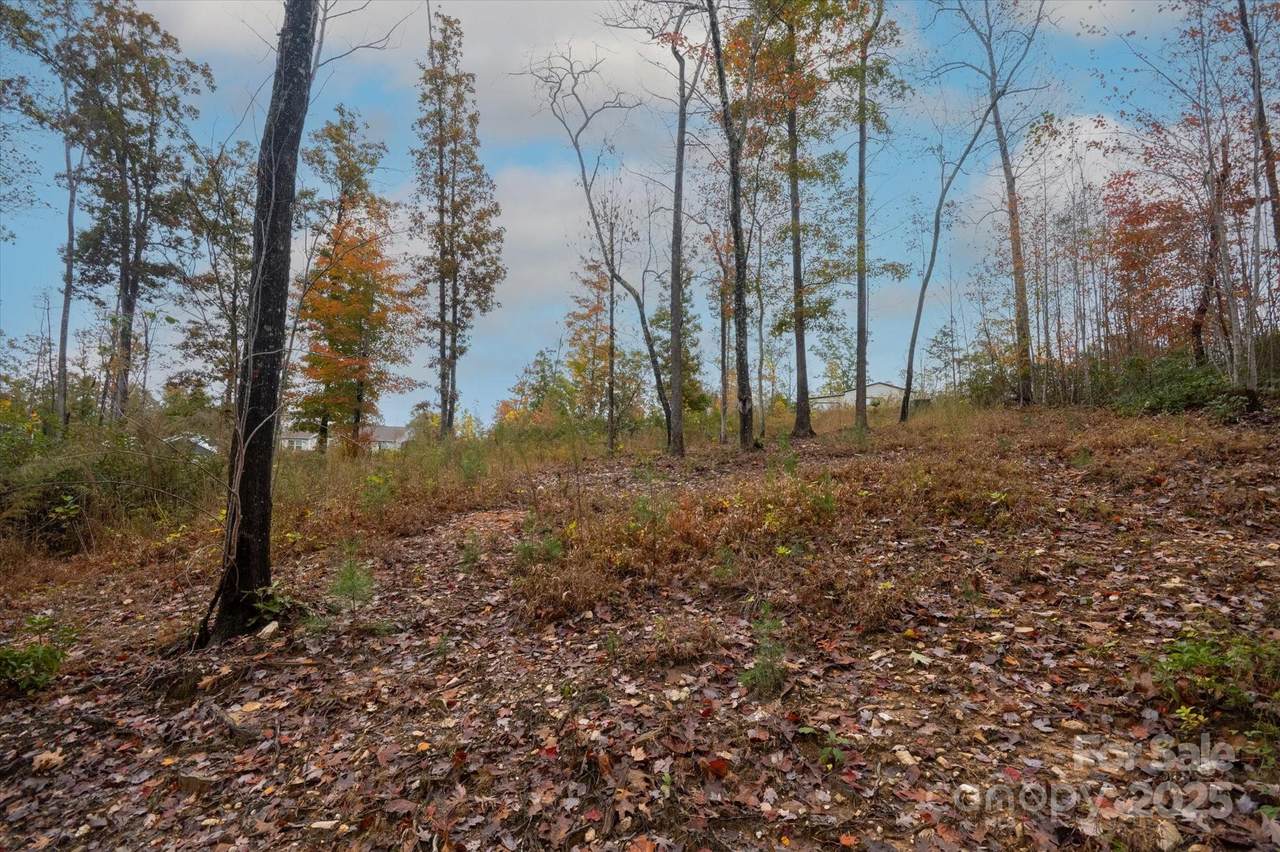 269 Mooseheart Road - Photo 1