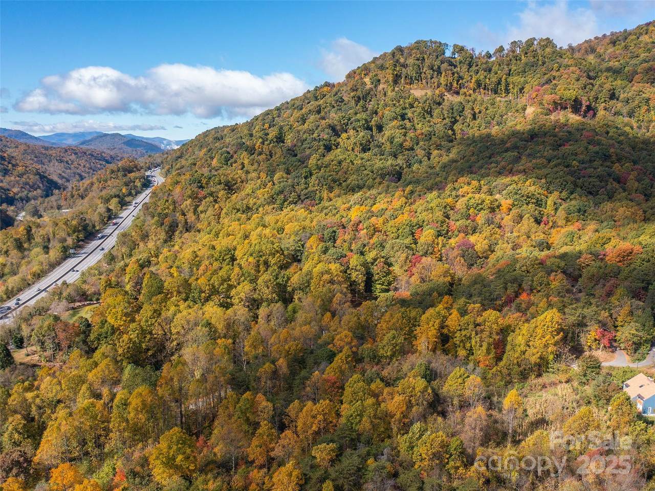 9999 Lovebird Lane - Photo 1