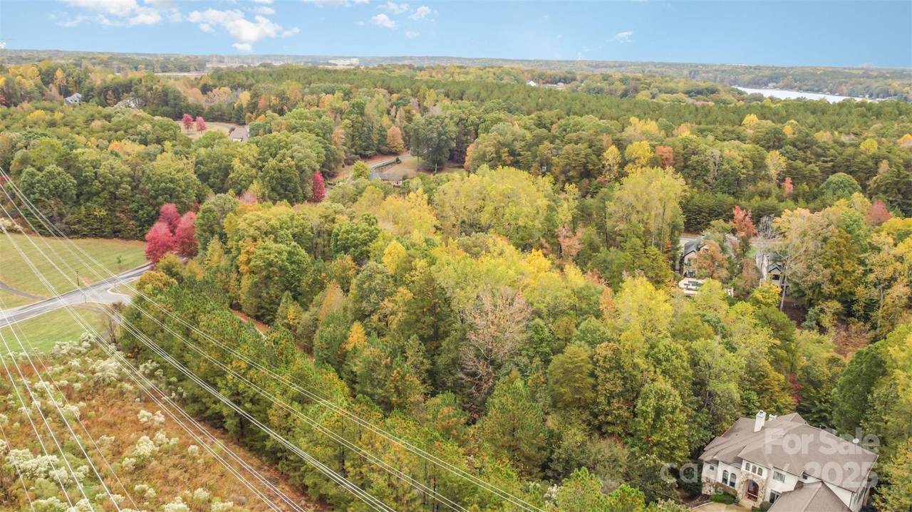 2009 Beauhaven Lane - Photo 1