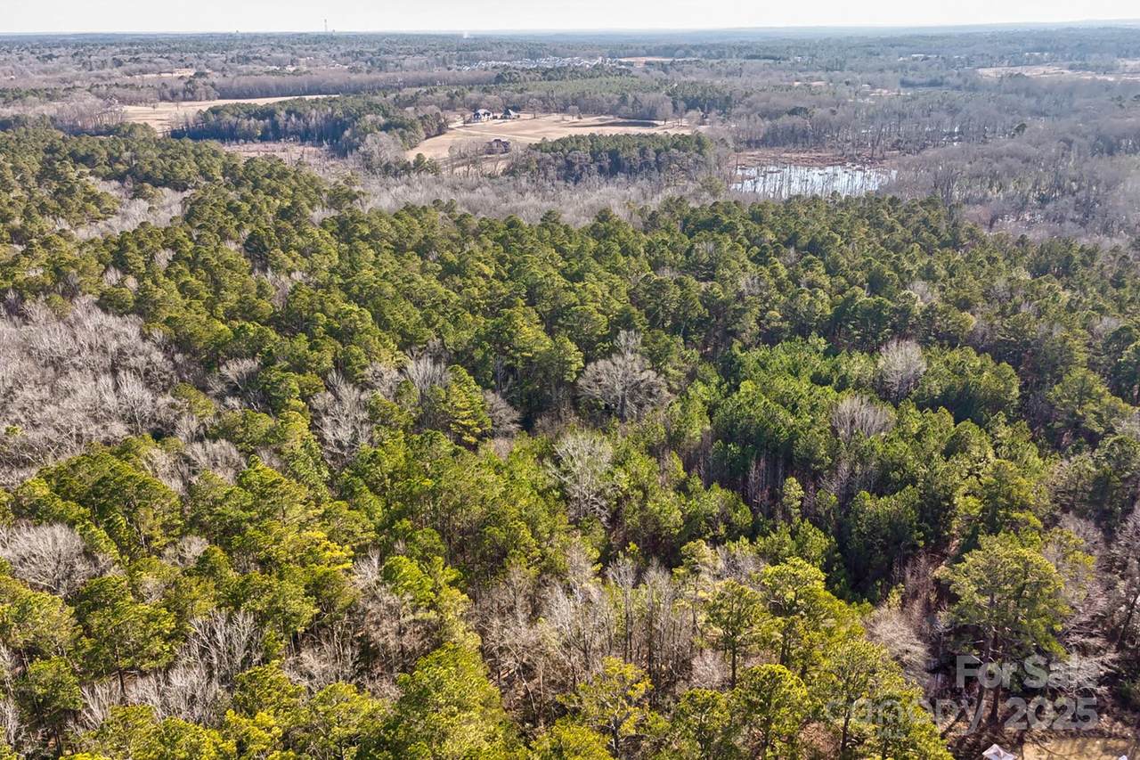 50 Thorn Way - Photo 1