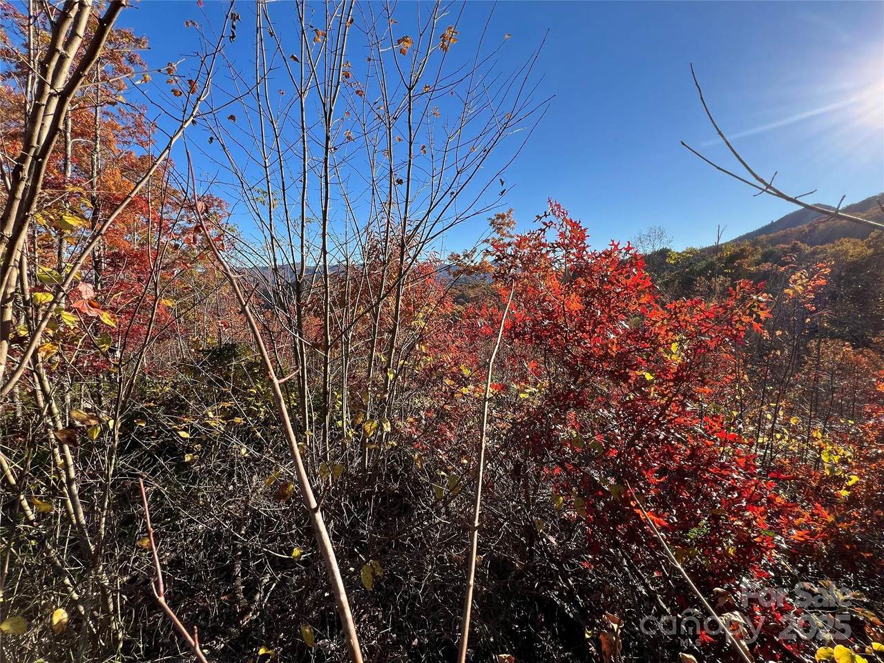 Lot 66 Musket Road - Photo 1