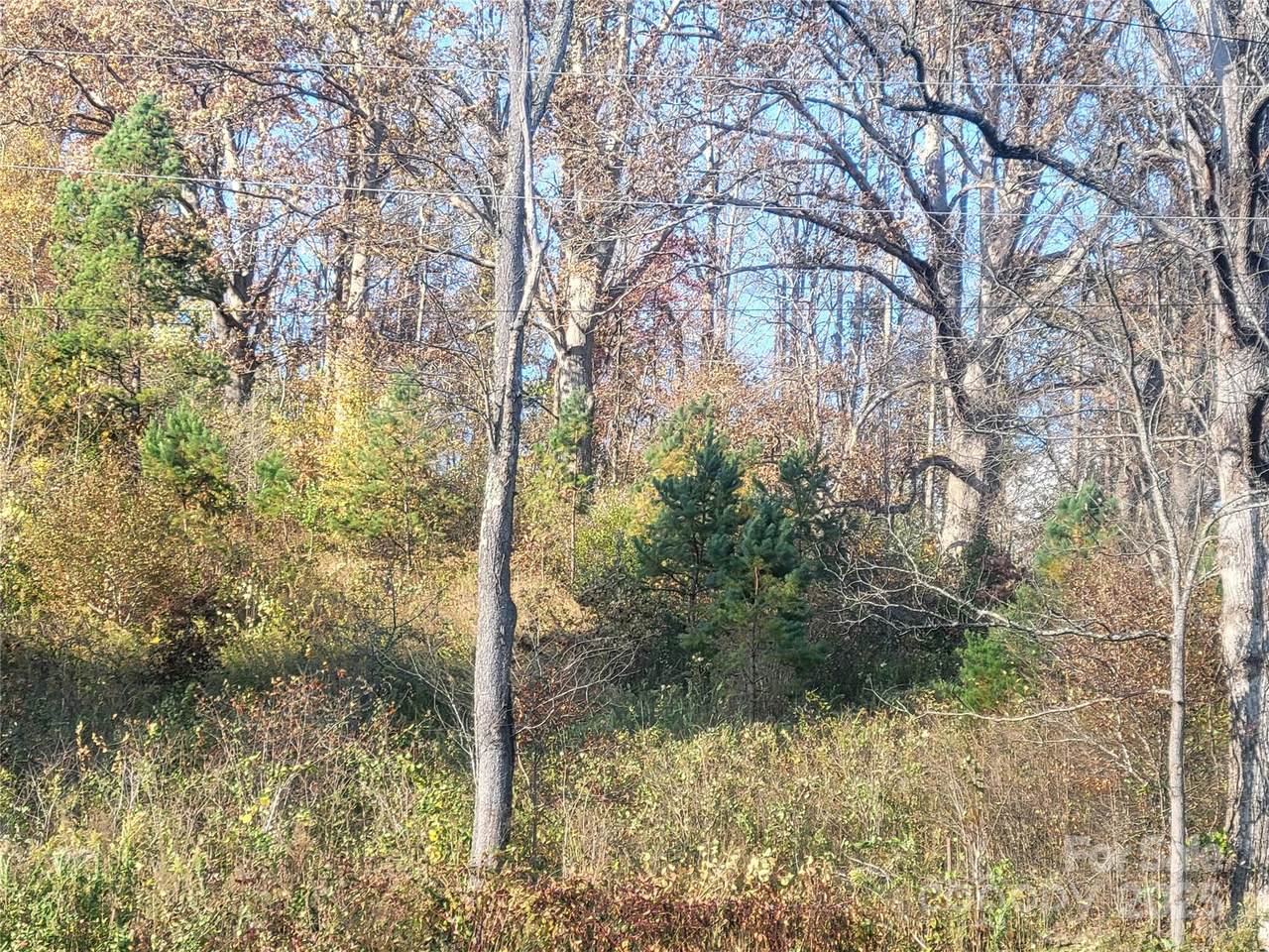 00 Kirkpatrick Cove - Photo 1