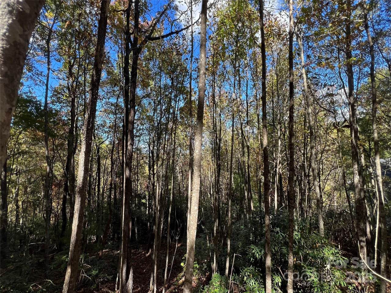 0 Wild Magnolia Way - Photo 1