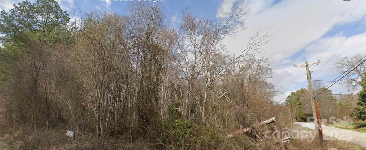 0 Pine Tree Place - Photo 1