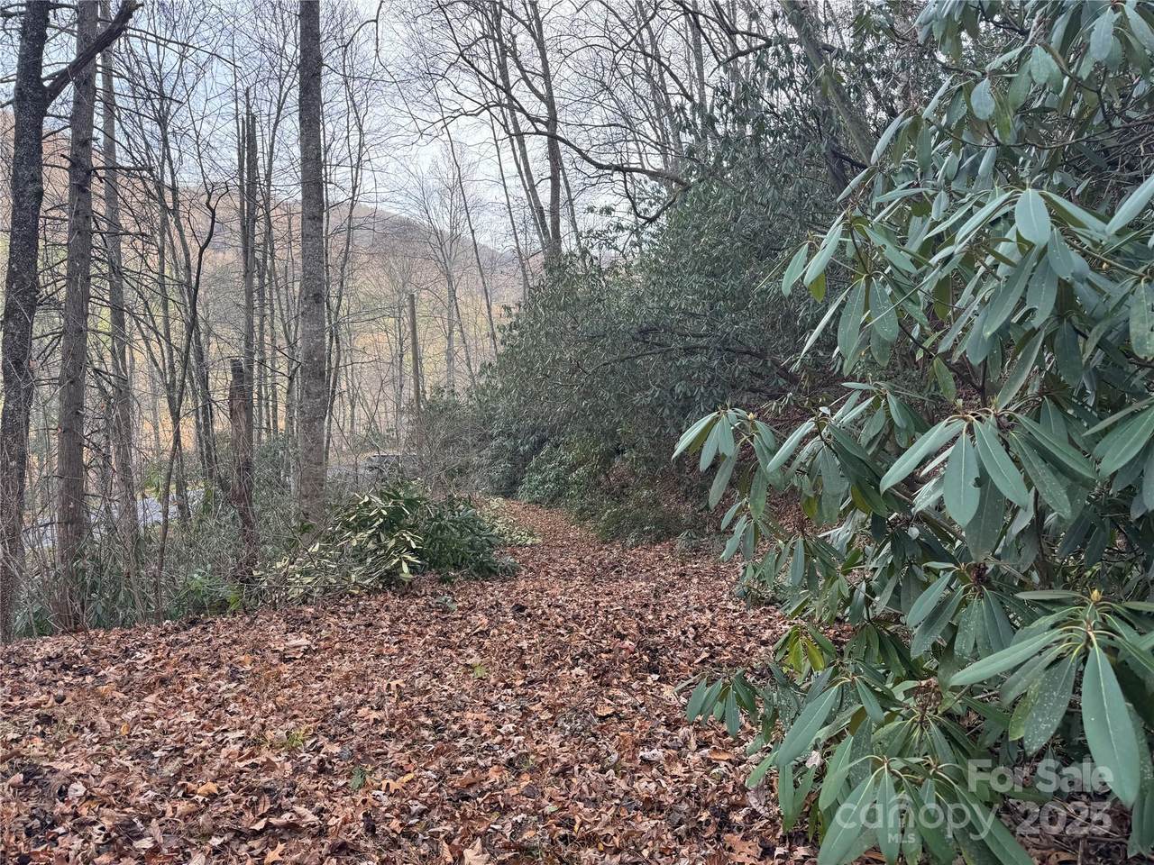 2664 Nc Hwy 9 Highway - Photo 1