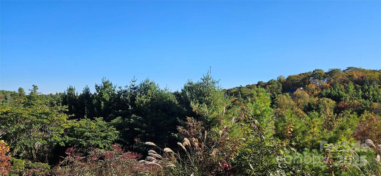 0 Clarktown Road - Photo 1