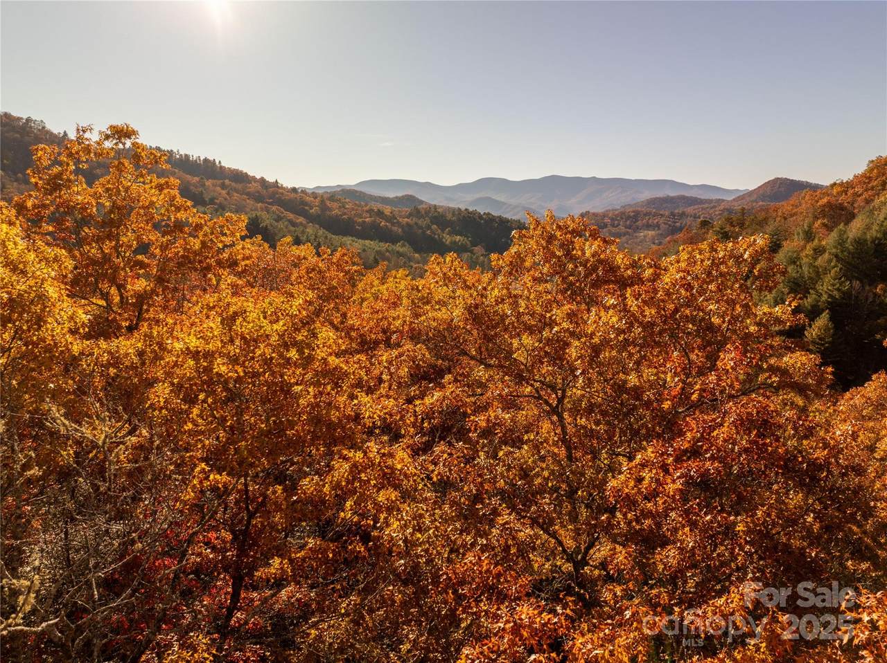 4444 Conley Ridge Trail - Photo 1