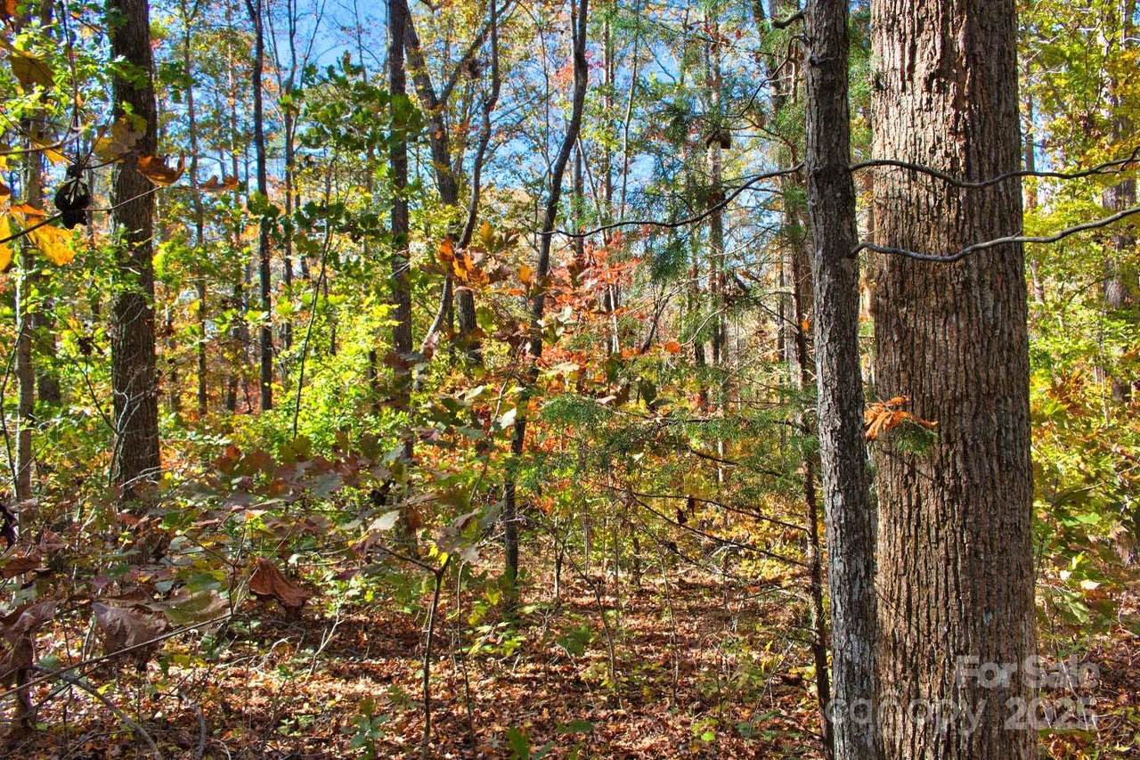 0 Bitteroot Circle - Photo 1