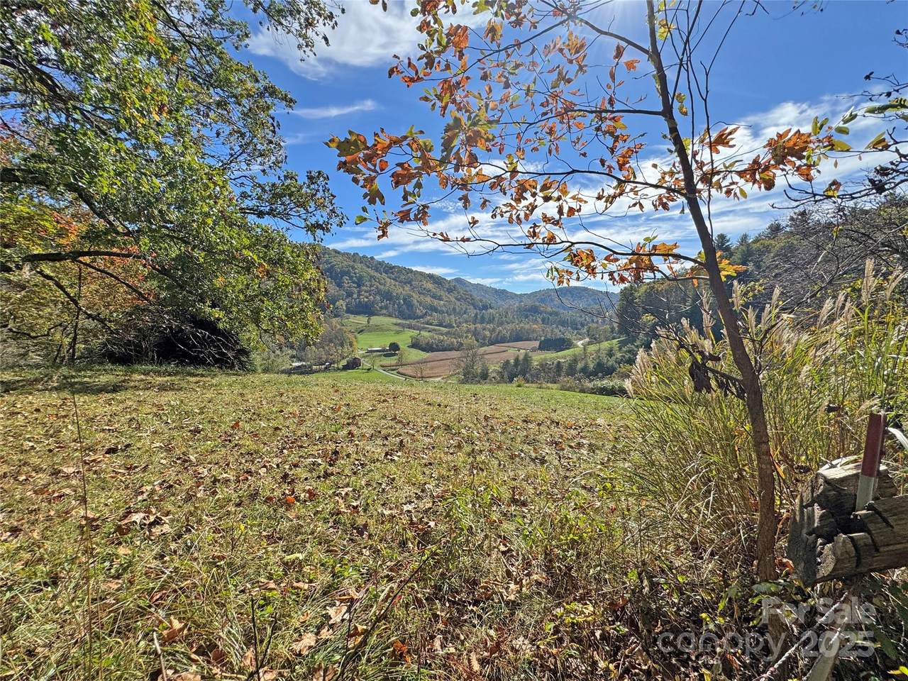 TBD Paint Fork Road - Photo 1