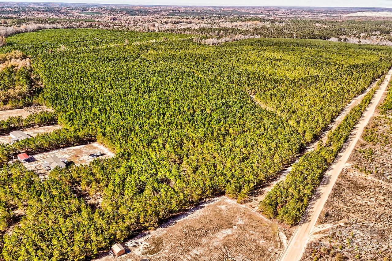 931 Charlie Johnson Road - Photo 1