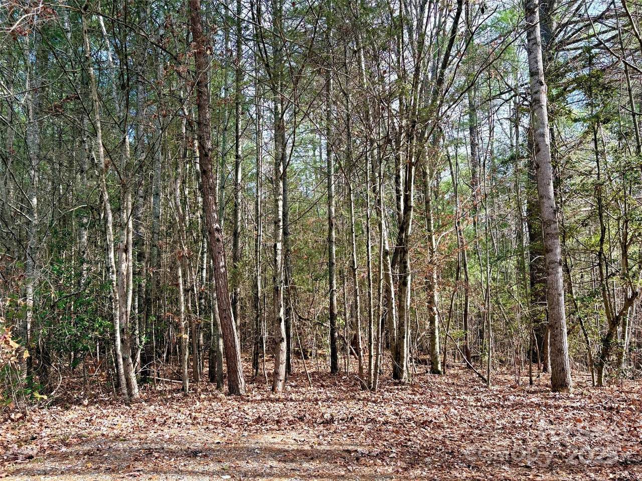 99999 Heather Lane - Photo 1