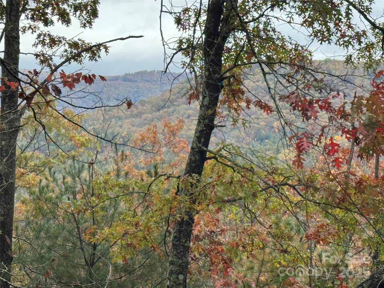 00 King Road - Photo 1