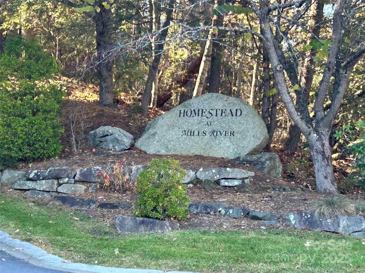 1114 Mills River Way - Photo 1