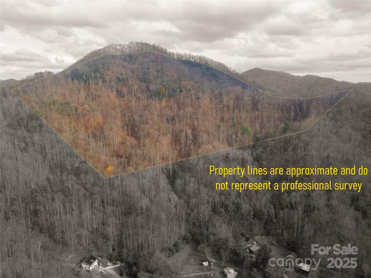 ### Grapevine Road - Photo 1