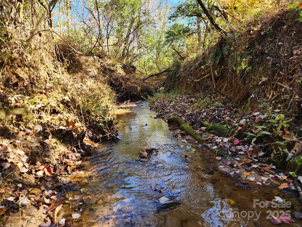 701 Moravian Falls Road - Photo 1