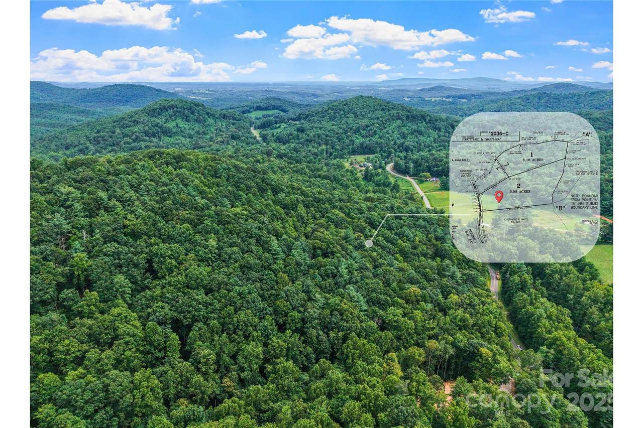 9.99 Acres Boone Gap Lane - Photo 1