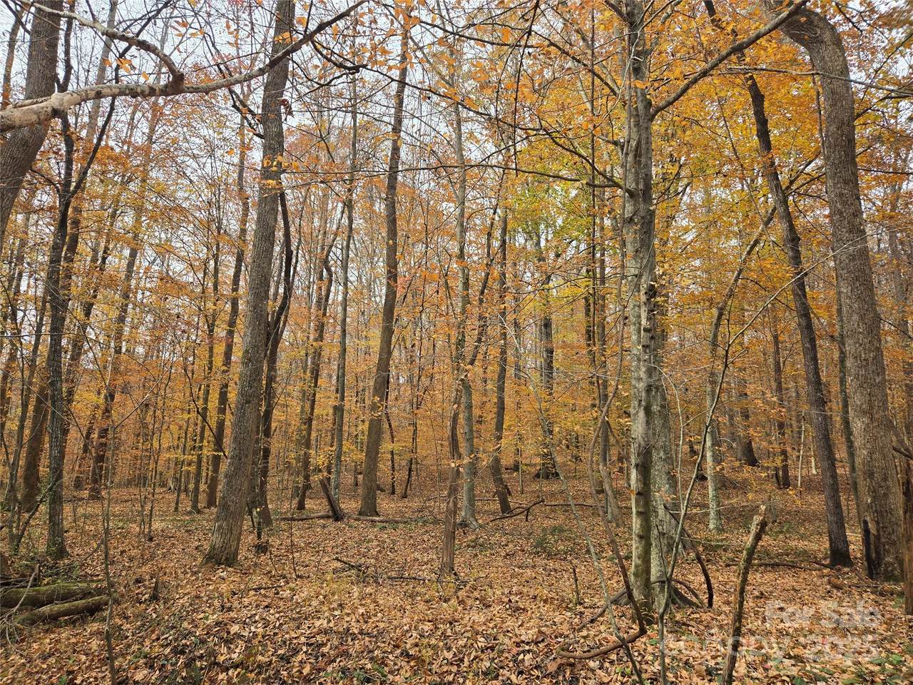 4901 & 4927 Montford Road - Photo 1