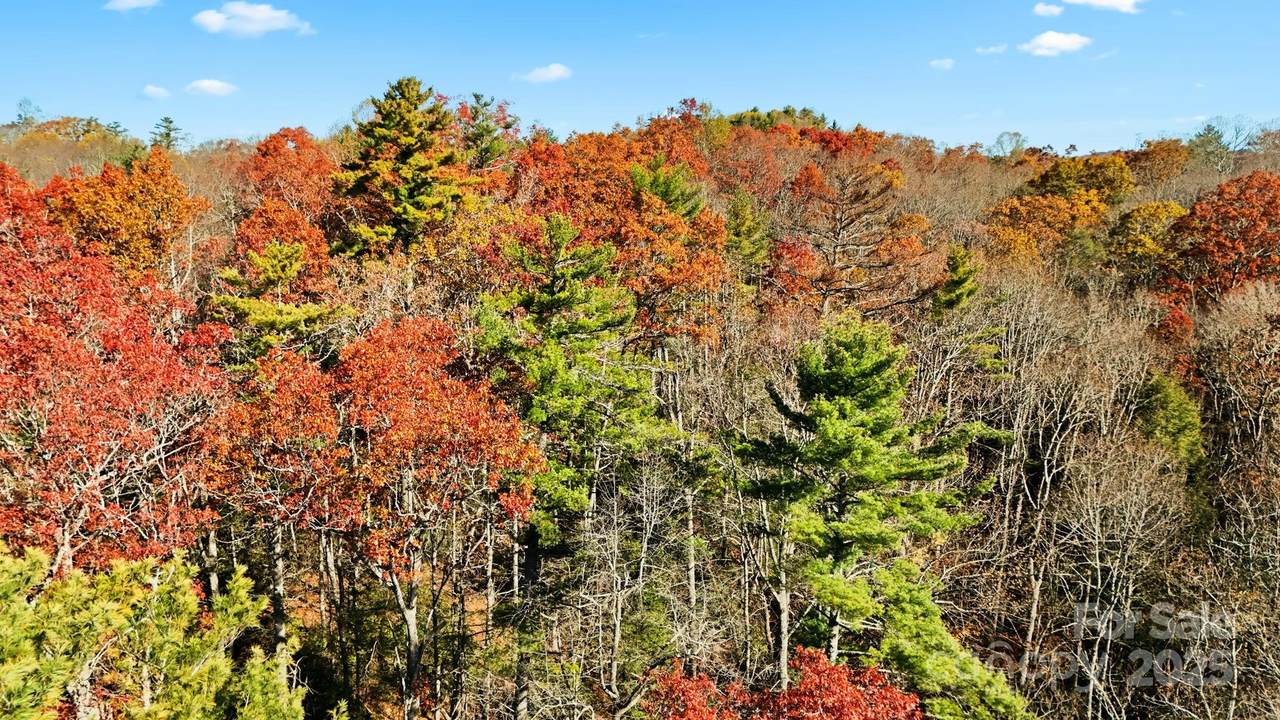 TBD Midway Road - Photo 1