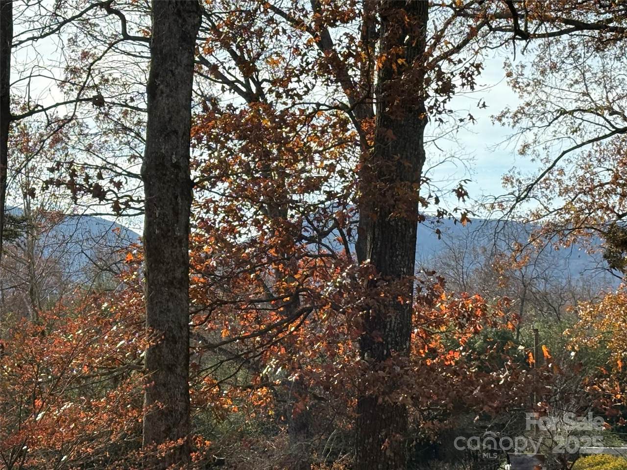 https://bt-photos.global.ssl.fastly.net/cmls/1280_boomver_1_4322856-1.jpg
