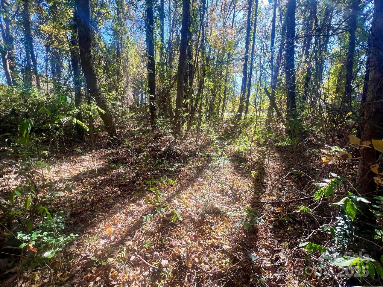 000 John Everall Road - Photo 1