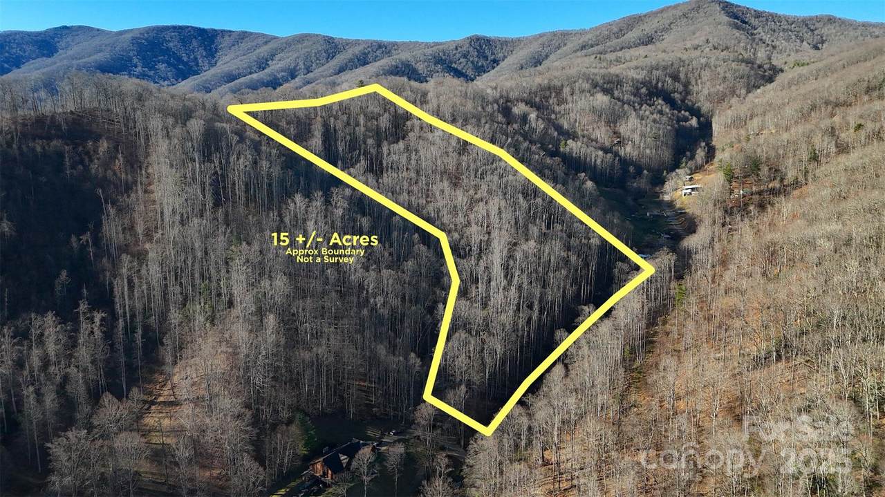 15 +/- Acres Riddle Branch Road - Photo 1