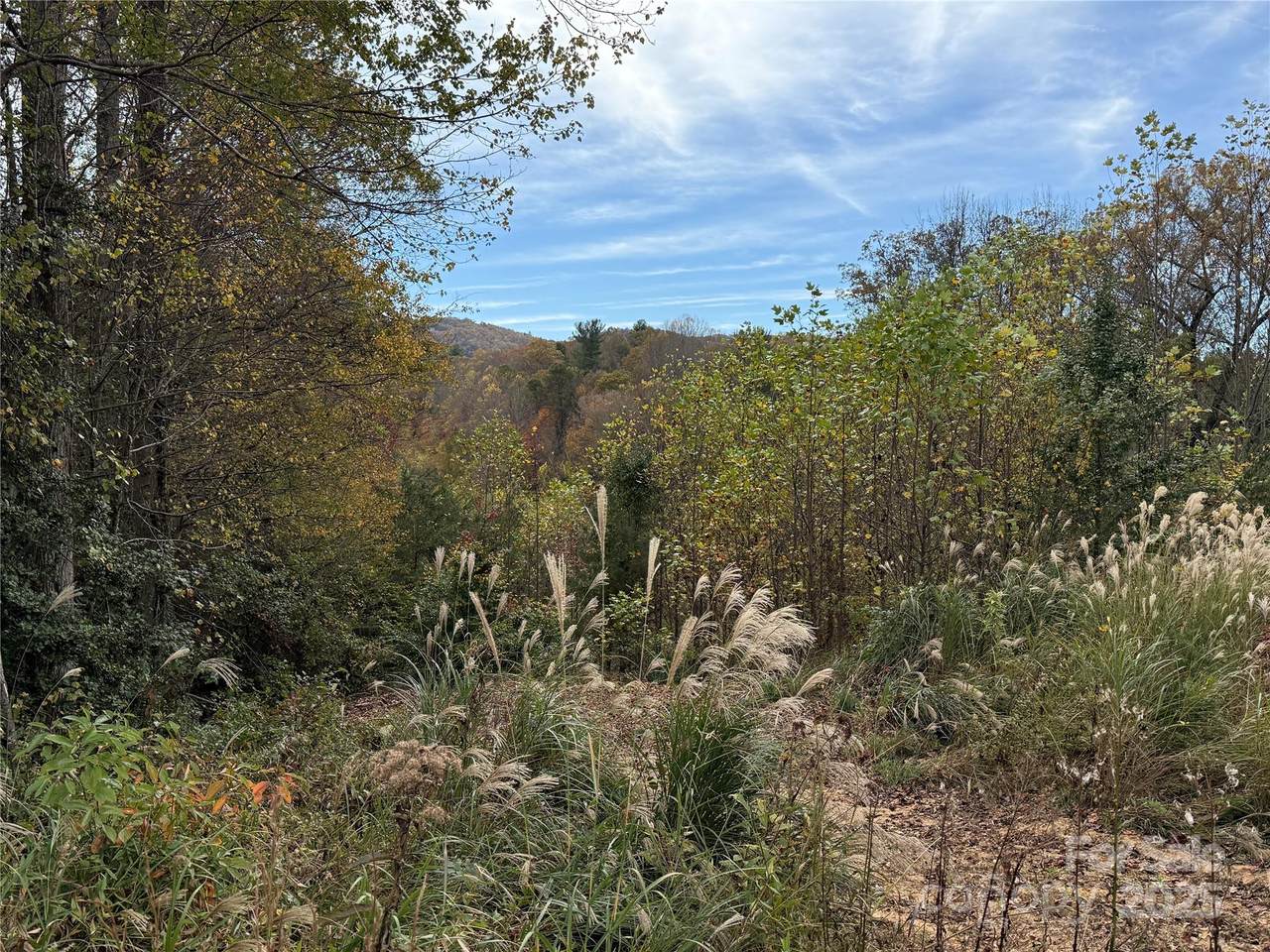 Lot # 2 West Legacy Drive - Photo 1