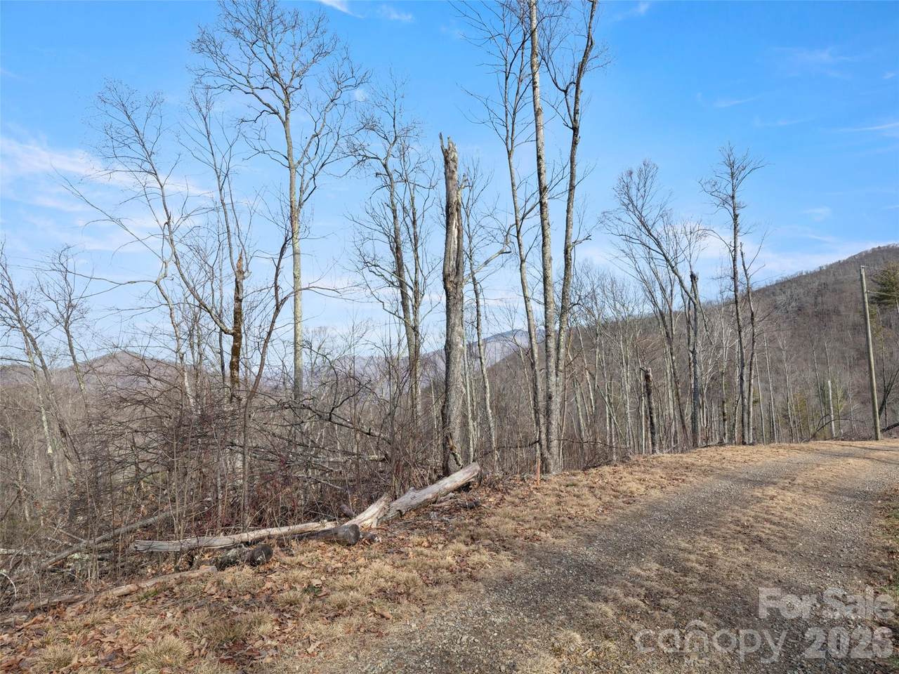 TBD Ridge Runner Road - Photo 1