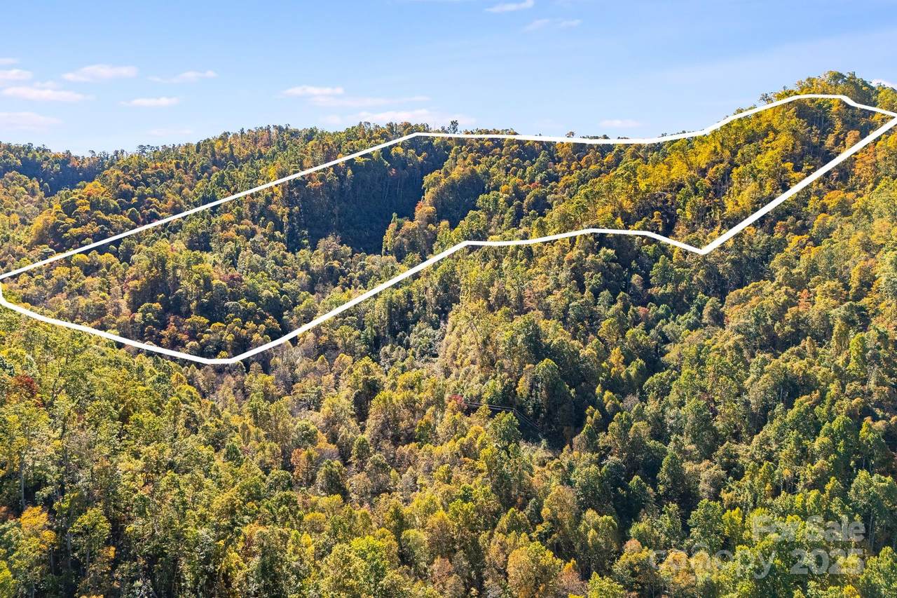 000 Hamburg Road - Photo 1