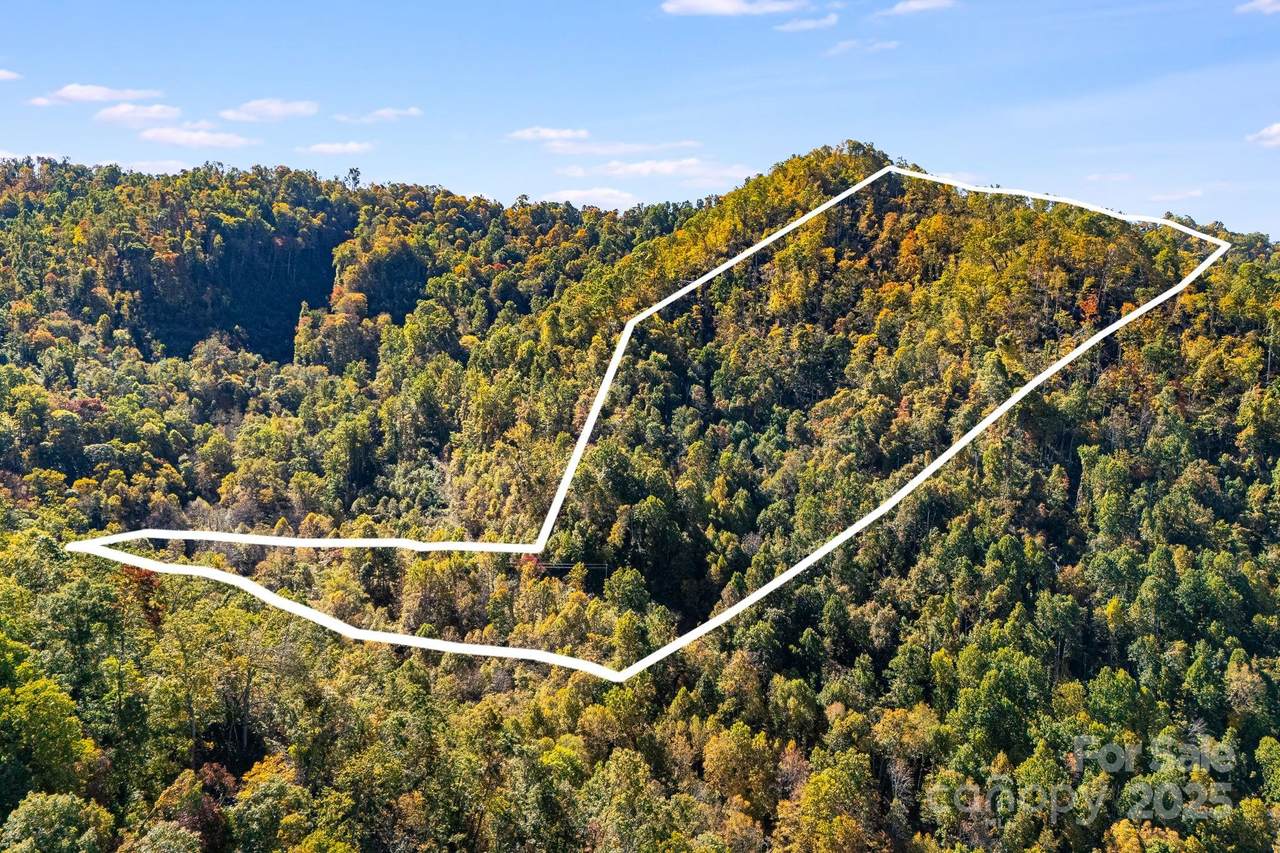 000 Hamburg Road - Photo 1