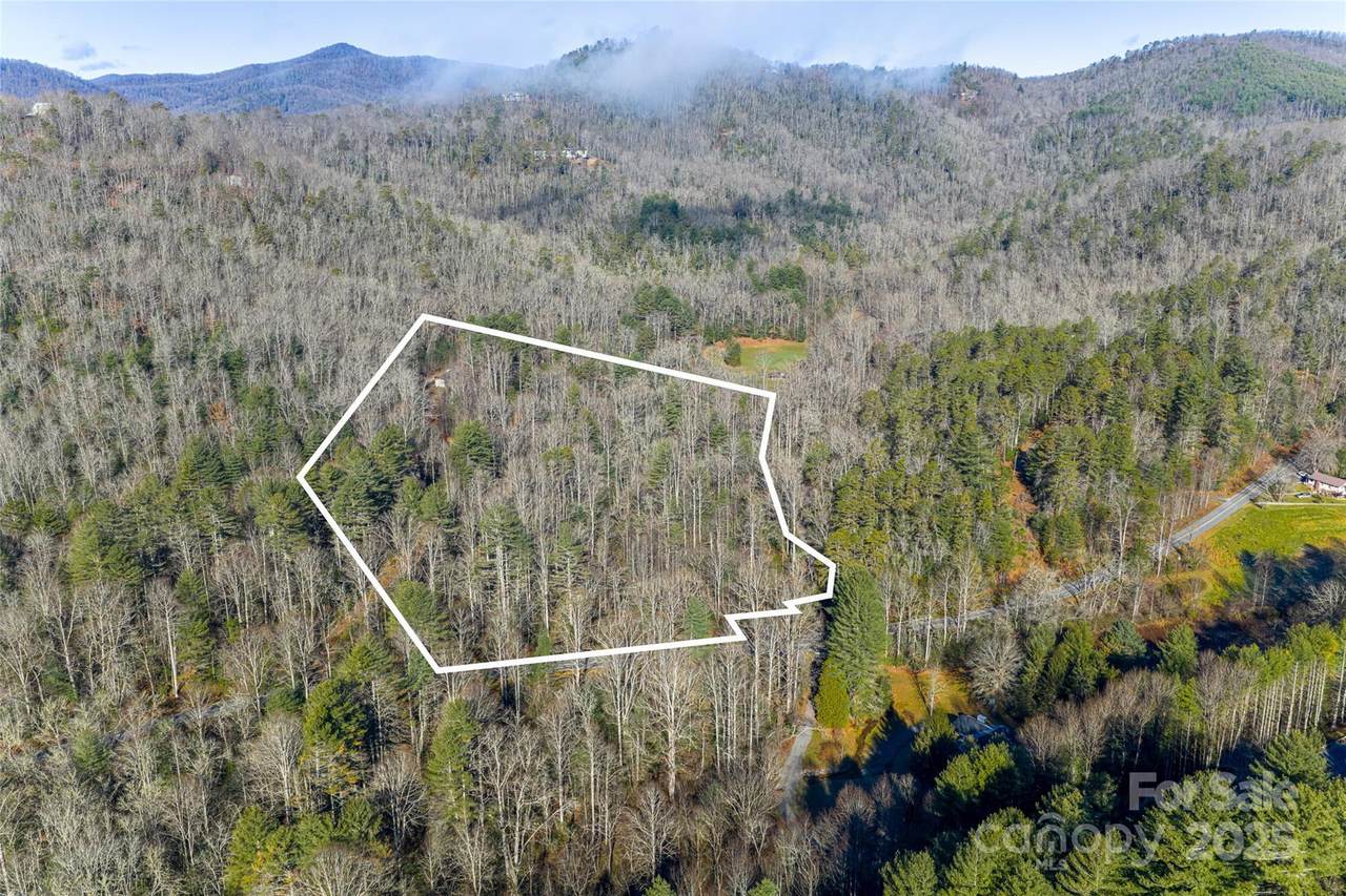649 Old Nc 280 Highway - Photo 1
