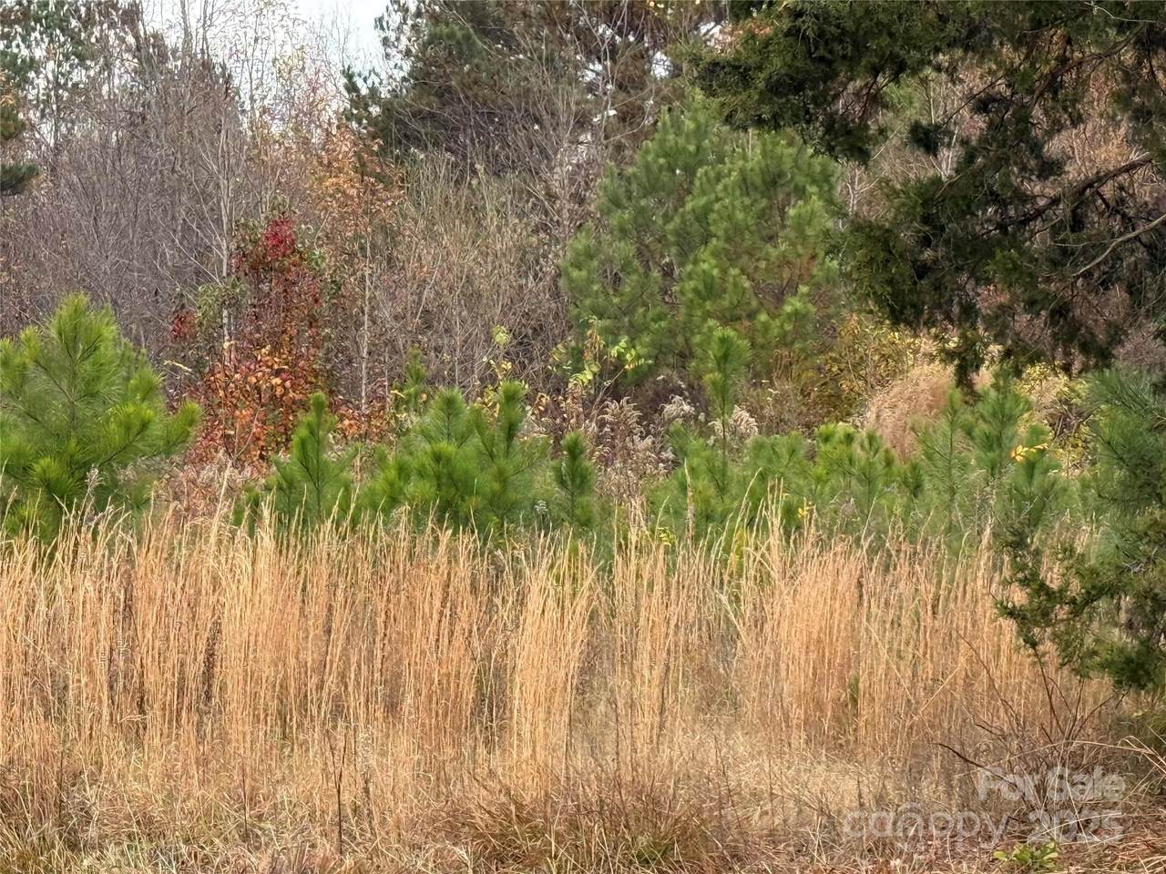 13315-3 Ramah Church Road - Photo 1