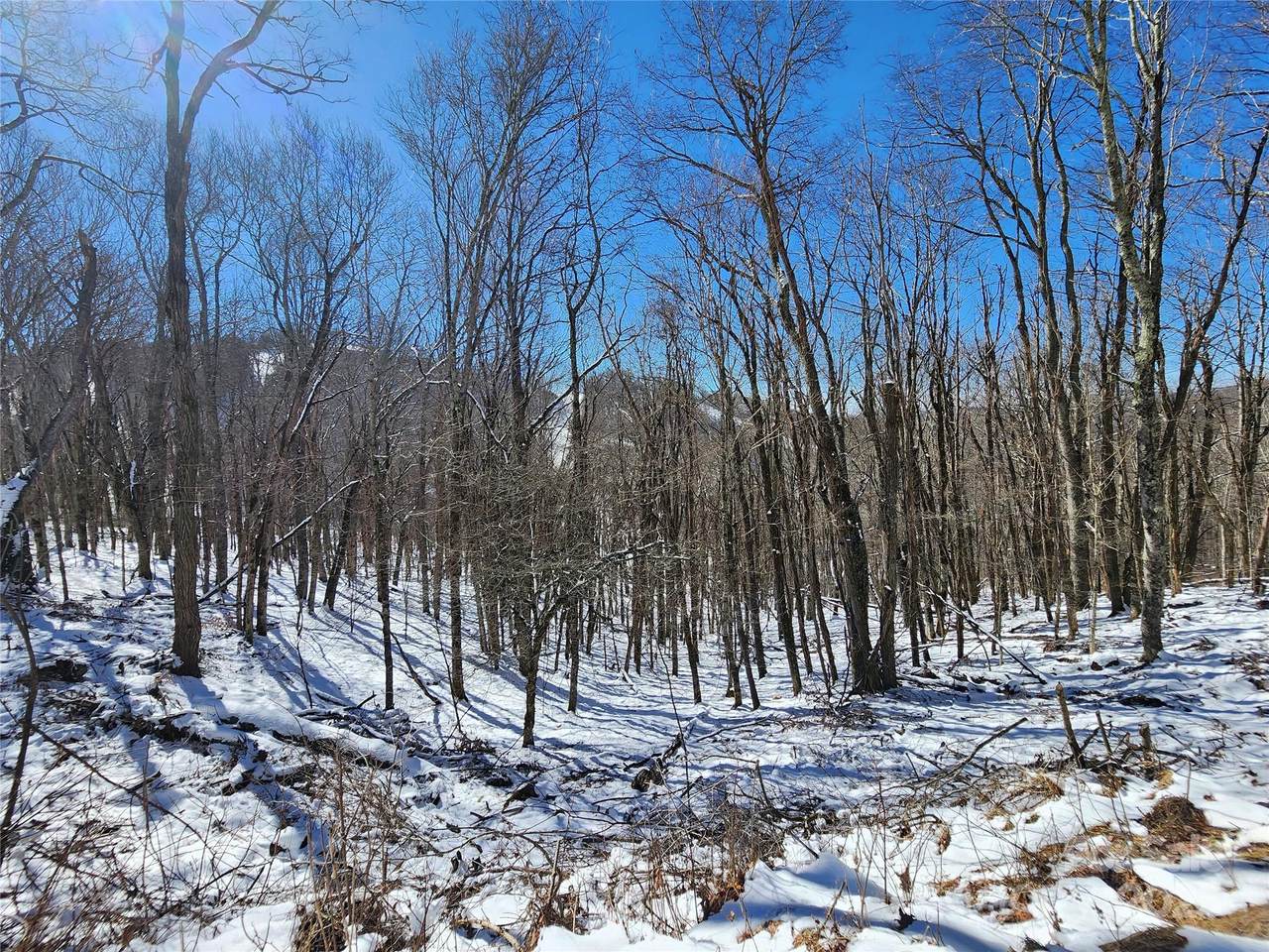 479 El Miner Drive - Photo 1