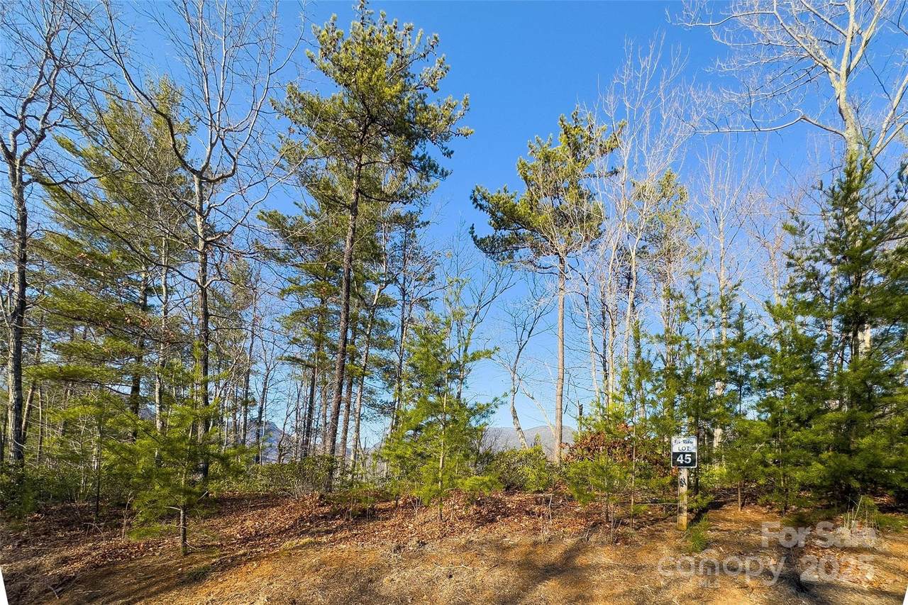 Lot #45 Fox Ridge Trail - Photo 1