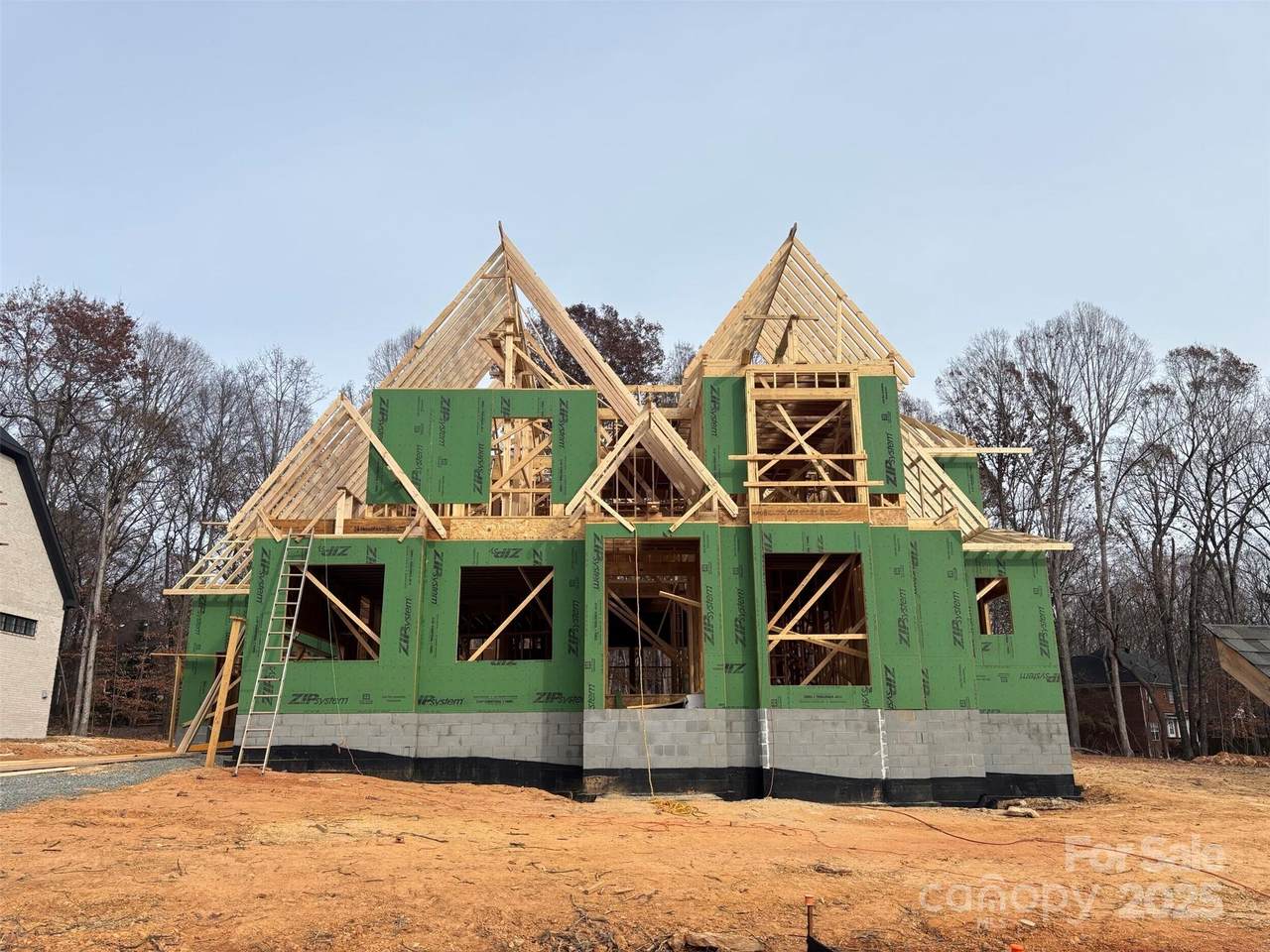 608 Deodar Cedar Drive - Photo 1