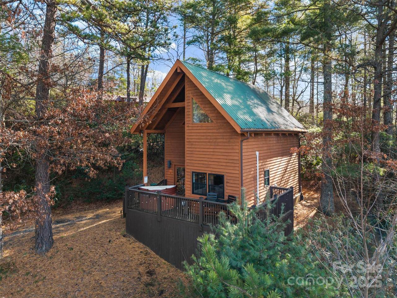 68 Bear Den Mountain View Drive - Photo 1