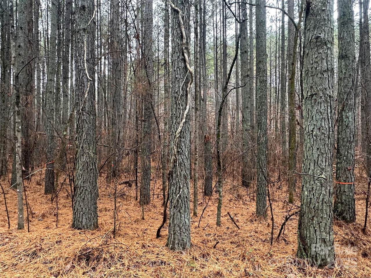 0 Frog Creek Road - Photo 1